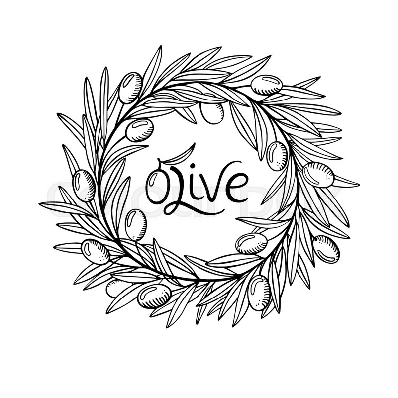 800x800 olive laurel wreath and branch hand stock vector colourbox - Olive Wreath Drawing