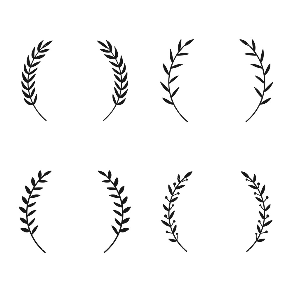 1000x1000 collection of different laurel wreaths hand drawn vector round - Olive Wreath Drawing