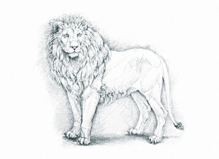 850x617 how to draw on a tiny budget single pencil drawing - One Drawing