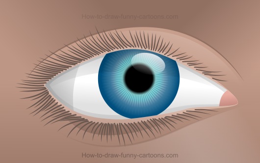 530x333 How To Draw An Eye - One Eye Drawing