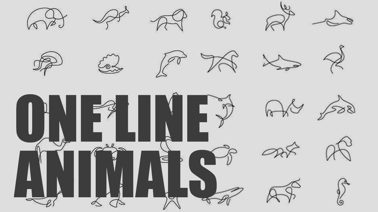 1280x720 Drawing One Line Animals Thomasrayer - One Line Drawing Animals