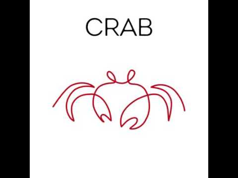 480x360 One Line Animal Drawing - One Line Drawing Animals