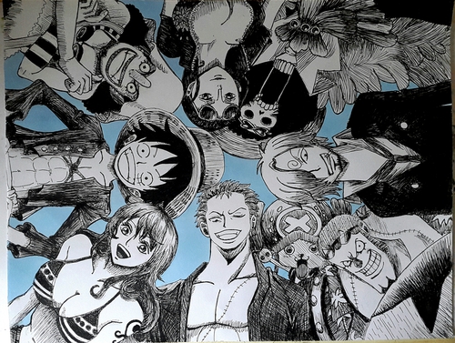 500x377 finally done with my one piece crew drawing - One Piece Drawing