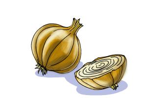 300x200 how to draw onion step - Onion Drawing