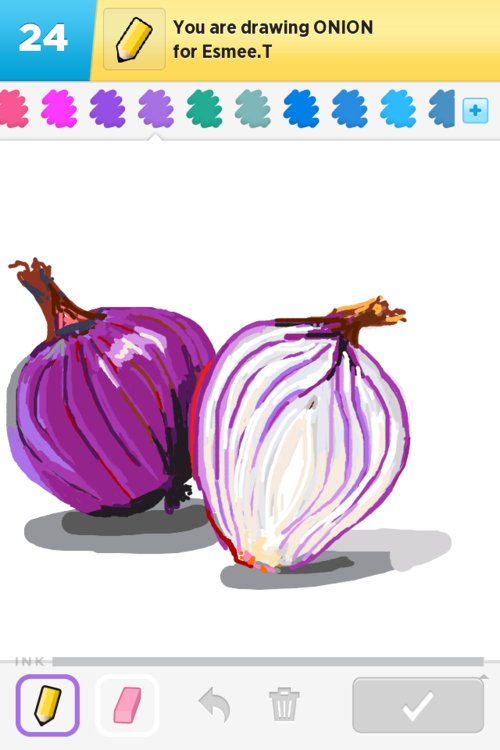 500x750 onion drawings - Onion Drawing