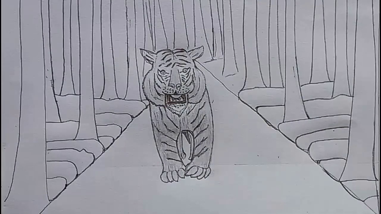 1280x720 How To Draw The Tiger In The Jungle With Only One Pencil - Only Drawing