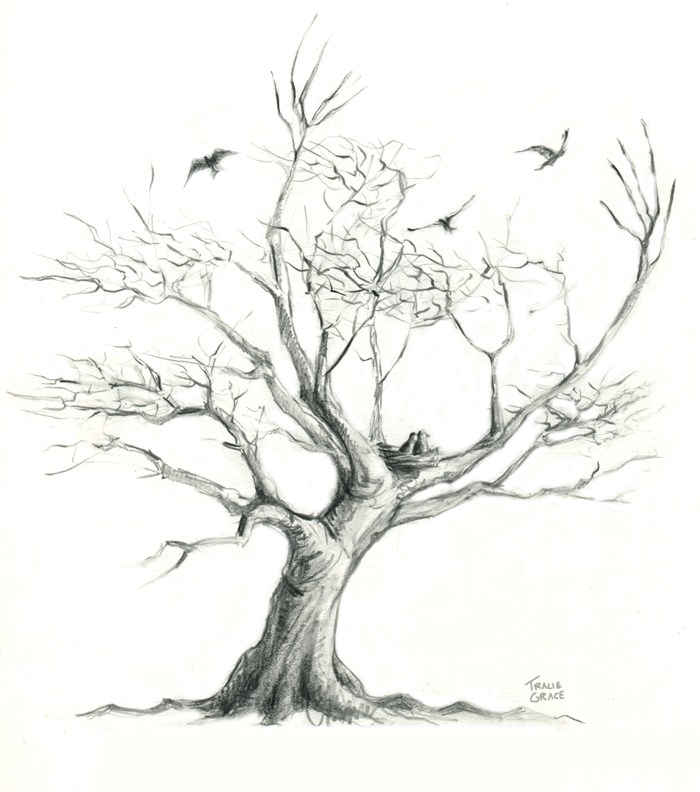 700x792 Tree Tattoo - Only Drawing