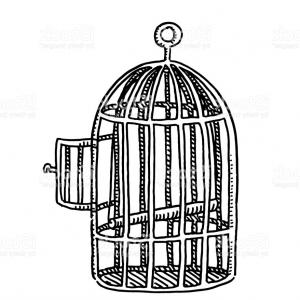 300x300 doodle vintage of birdcage gm sohadacouri - Open Birdcage Drawing