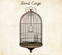 236x210 open bird cage drawing bird free animals dogs cats - Open Birdcage Drawing