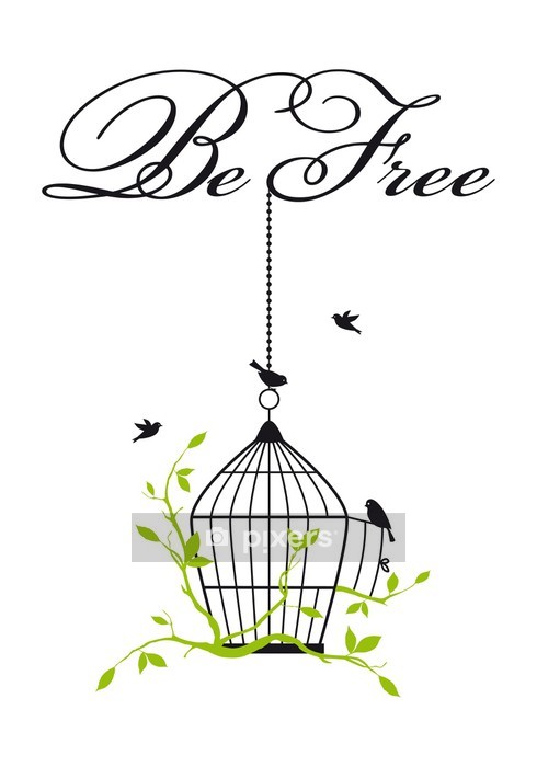 490x700 open birdcage with free birds, vector wall decal we - Open Birdcage Drawing