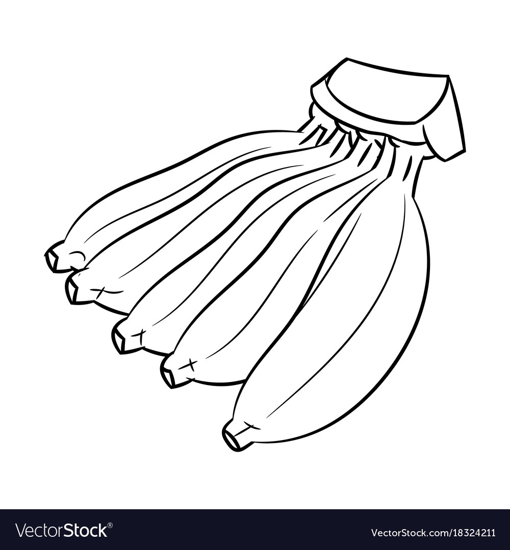 1000x1080 livro aberto vector open book clipart - Open Book Line Drawing