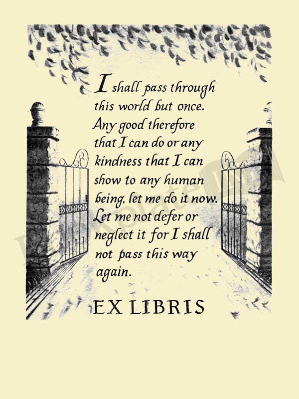 600x800  - Open Gate Drawing