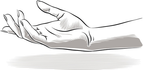 489x240 Open Hand Stock Photos And Royalty Free Images, Vectors - Open Hand Drawing