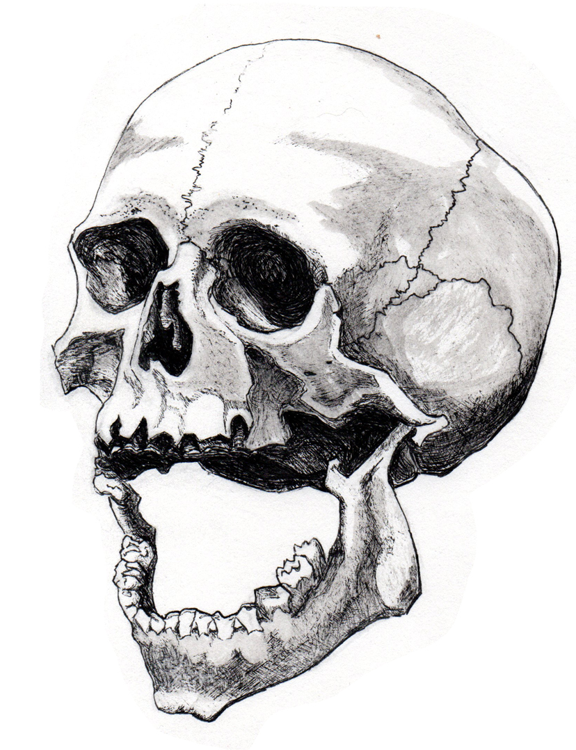 828x1078 Skull Drawing Open Mouth For Free Download - Open Mouth Drawing