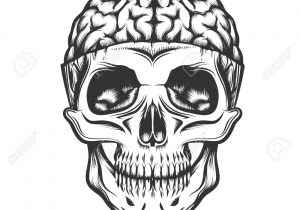300x210 open mouth skull sketch anatomic skull vector art detailed hand - Open Mouth Skull Drawing