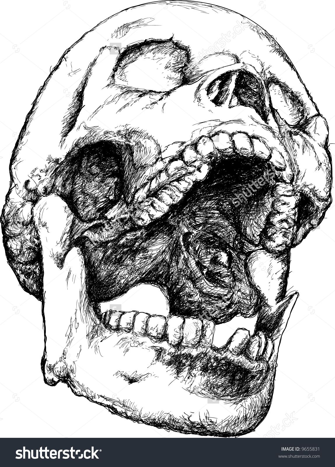 1148x1600 Inspiration In Skull Illustration, Skull - Open Mouth Skull Drawi...