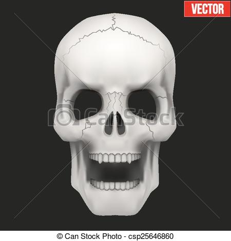 450x470 skull open mouth fun pics images - Open Mouth Skull Drawing