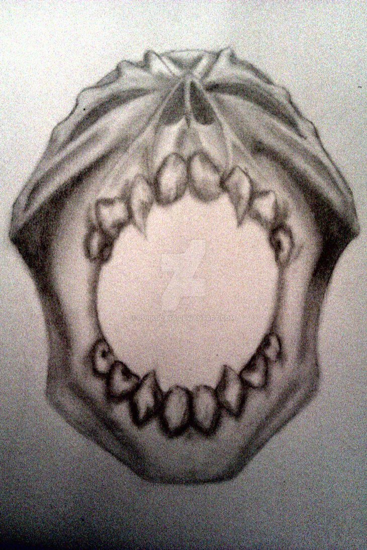 730x1095 open mouth skull tat sketch - Open Mouth Skull Drawing