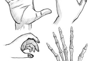 300x210 How To Draw A Hand Palm Up Step - Open Palm Hand Drawing