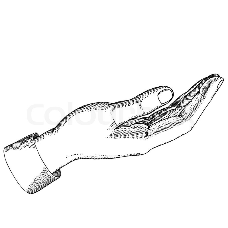 Open Palm Hand Drawing at Explore collection of