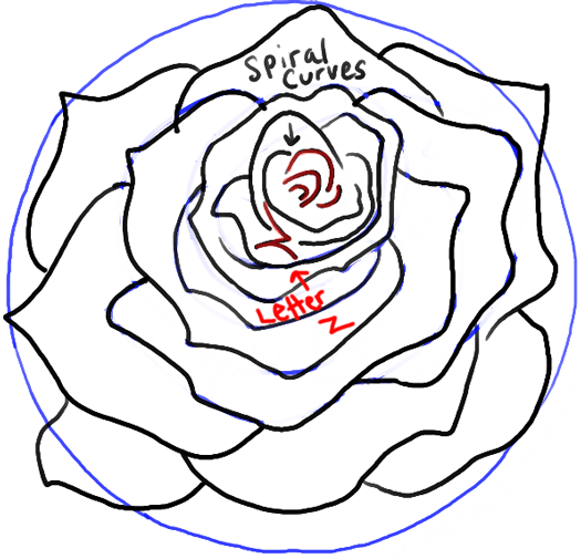 525x505 how to draw roses opening in full bloom step - Open Rose Drawing
