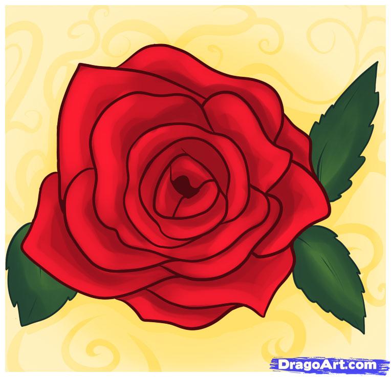 764x736 draw rose petals, step - Open Rose Drawing