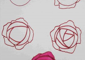 300x210 How To Draw An Open Rose Step - Open Rose Drawing Step By Step