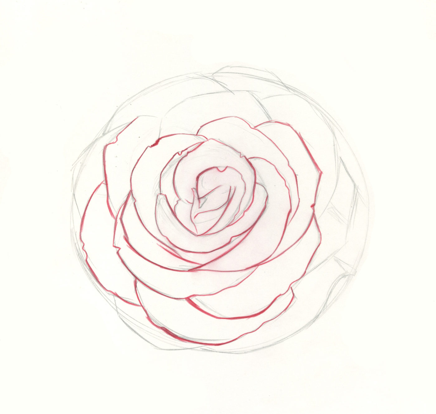 1400x1330 how to draw roses an easy and complete step - Open Rose Drawing Step By Step