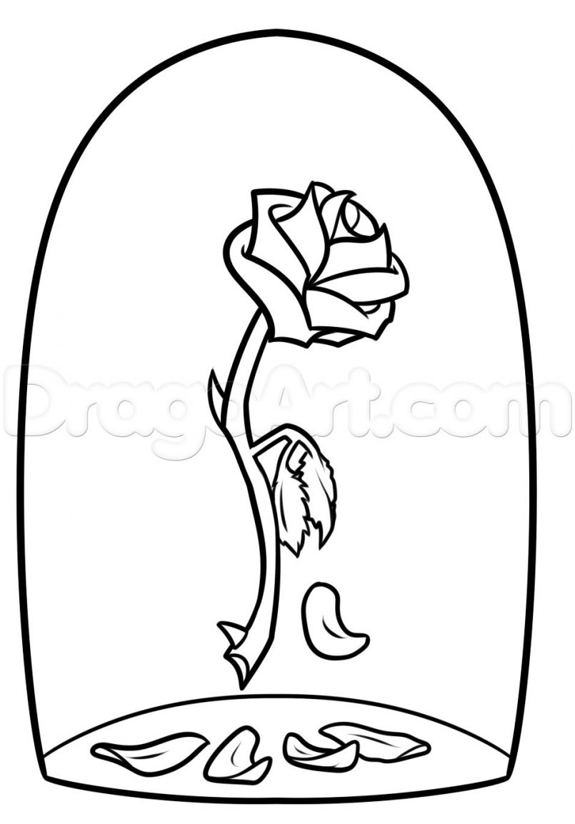 805x1154 Open Rose Drawing Step - Open Rose Drawing Step By Step