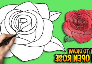 300x210 Open Rose Drawing Step - Open Rose Drawing Step By Step