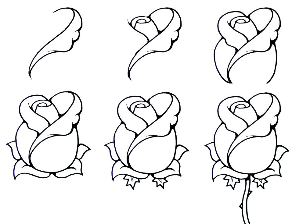 980x735 Photos Easy Step - Open Rose Drawing Step By Step