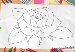 300x210 Rose Drawing Step - Open Rose Drawing Step By Step