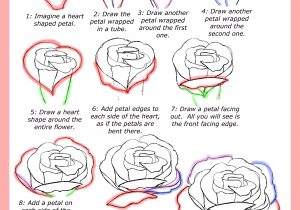 300x210 Step - Open Rose Drawing Step By Step