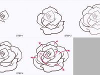 200x150 Easy Steps To Draw A Flower Basket Drawing - Open Rose Drawing Step By Step