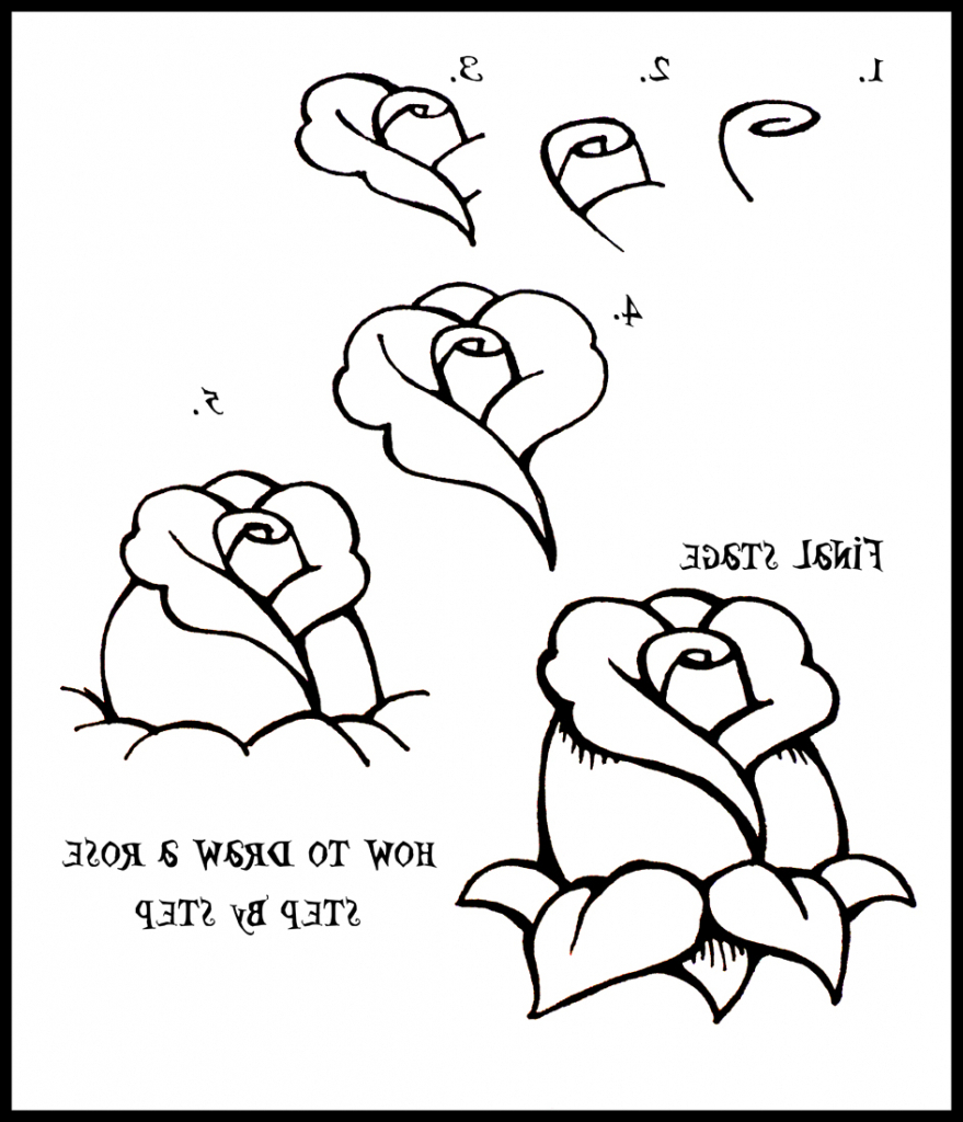 879x1024 Easy To Draw Step - Open Rose Drawing Step By Step