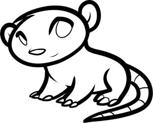 302x242 How To Draw How To Draw A Possum For Kids - Opossum Drawing