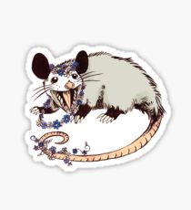 210x230 Possum Drawing Stickers Redbubble - Opossum Drawing