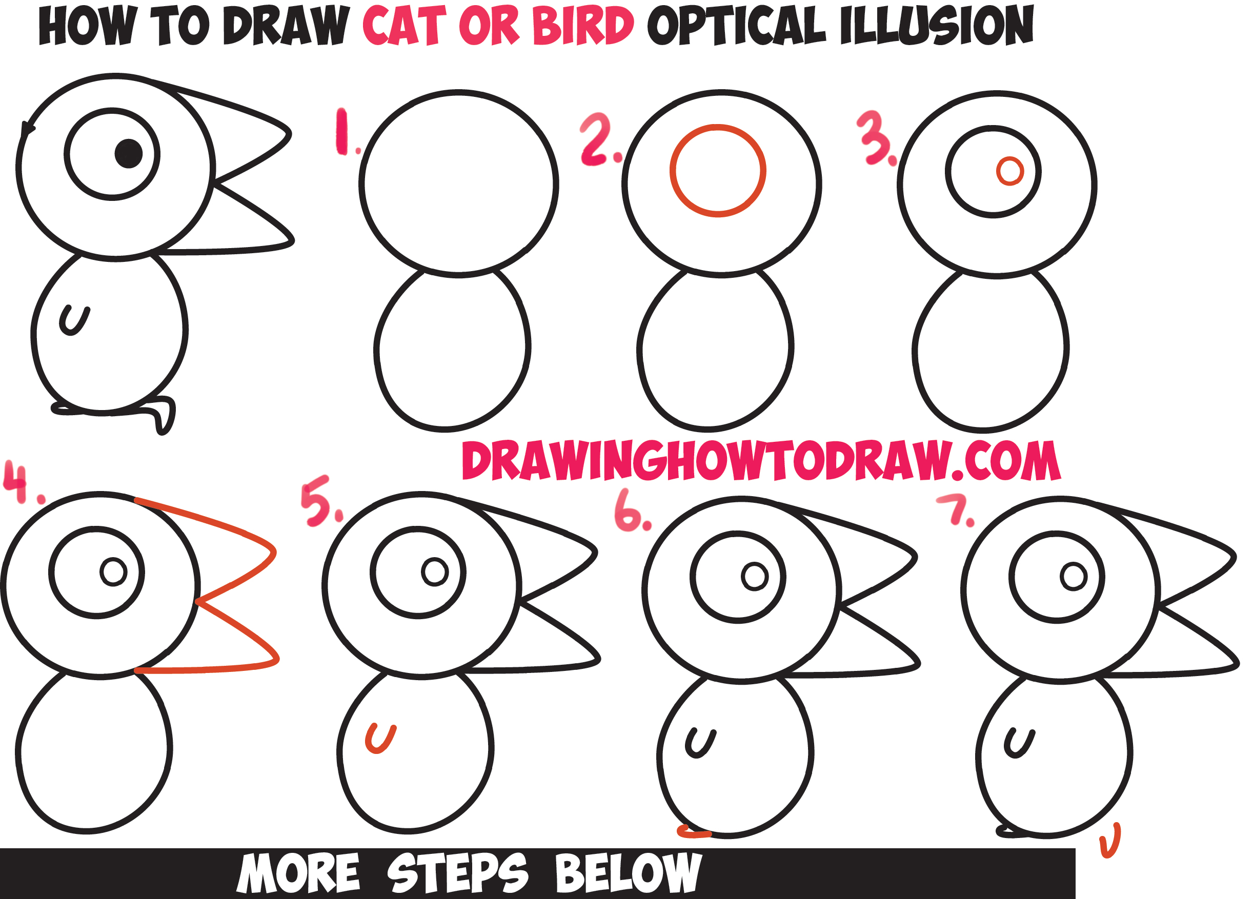 2444x1754 how to draw the is it a cat or is it a bird optical illusion - Optical Illusions Step By Step Drawing