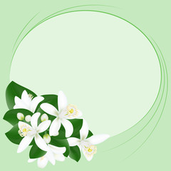 240x240 orange blossom drawing photos, royalty free images, graphics - Orange Blossom Drawing