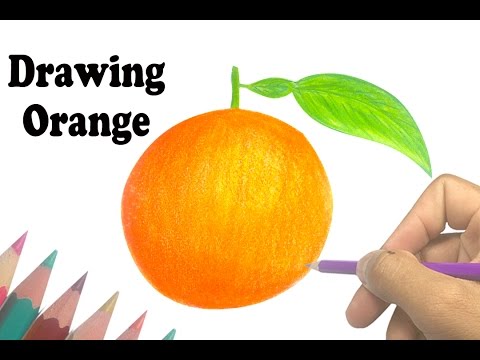 480x360 How To Draw Fruits - Orange Drawing