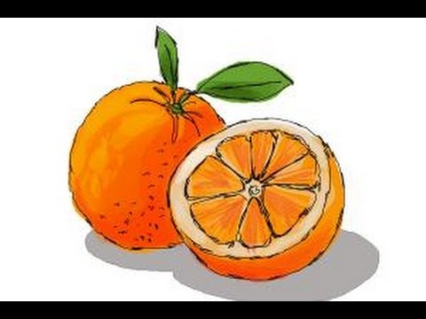 480x360 how to draw an orange - Orange Drawing