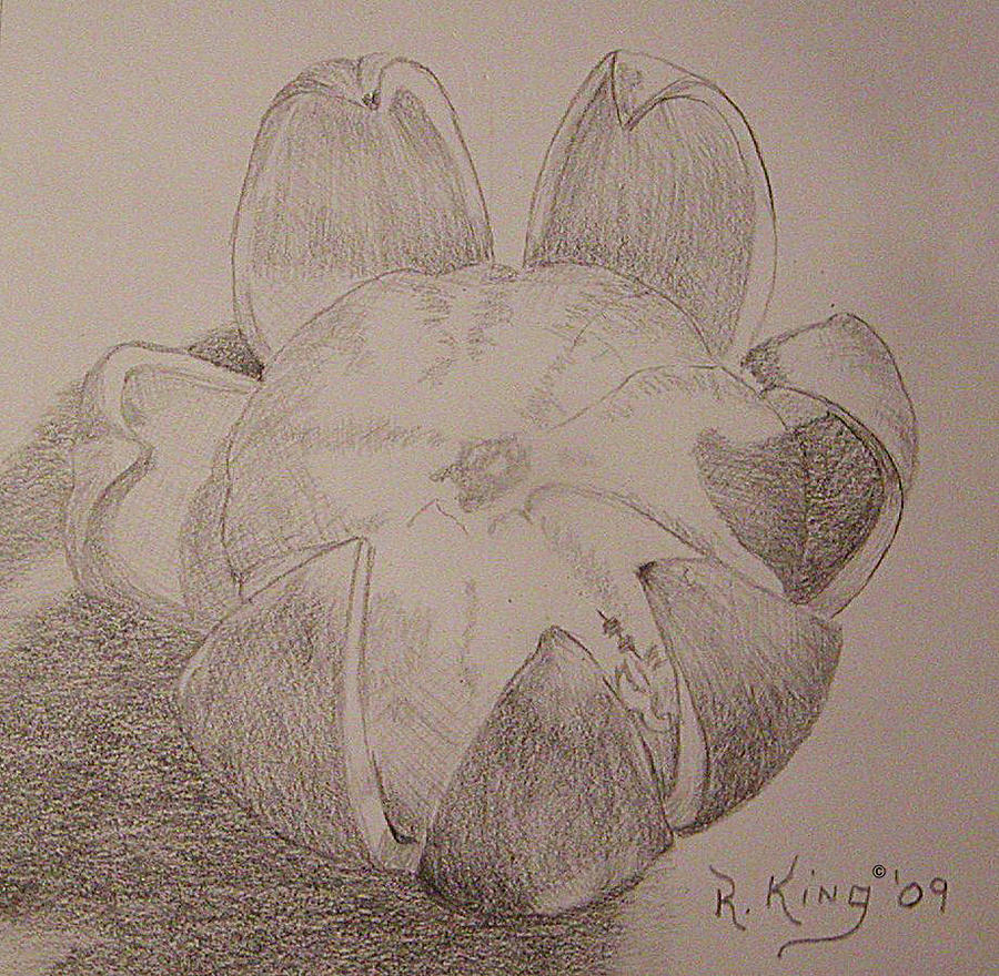 900x880 peeled orange drawing - Orange Drawing