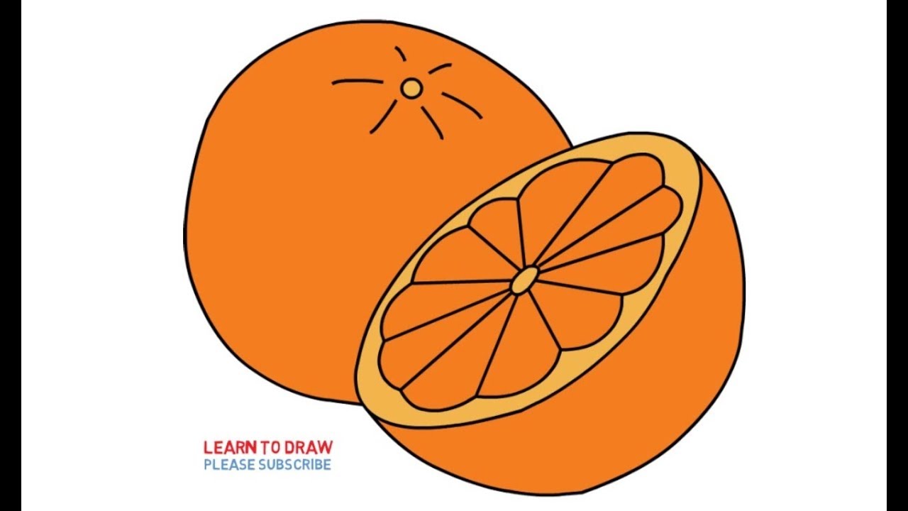 Orange Fruit Drawing at PaintingValley.com | Explore collection of