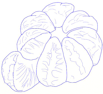328x300 how to draw an orange - Orange Fruit Drawing