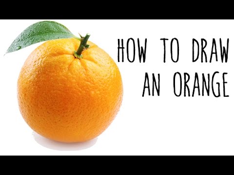 480x360 how to draw an orange - Orange Fruit Drawing