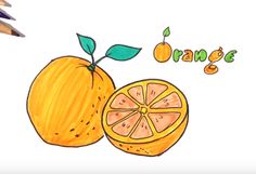 236x161 best how to draw fruit images copic markers, drawings, ideas - Orange Fruit Drawing