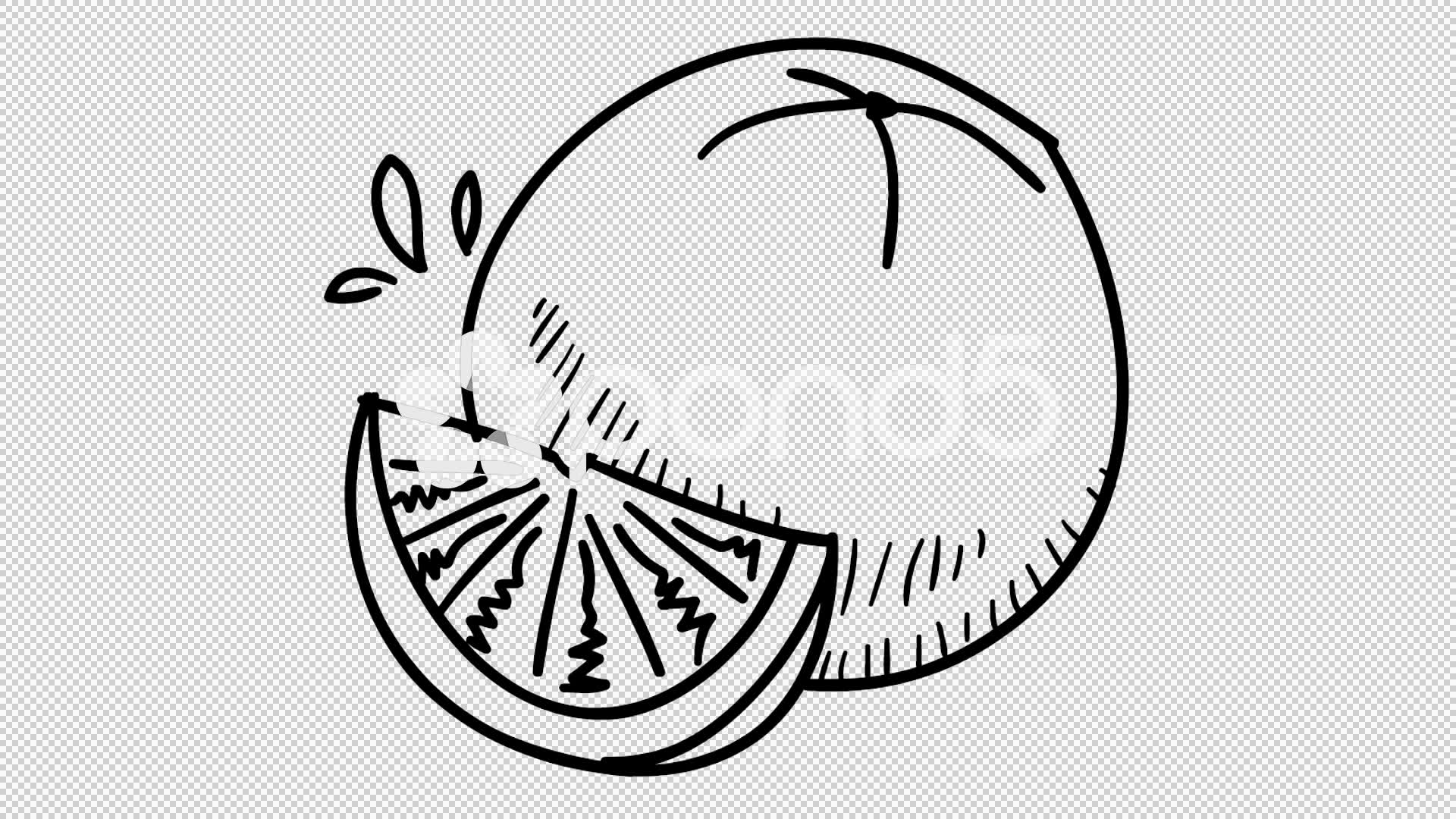 1920x1080 orange fruit hand drawing illustration animation with transparent - Orange Fruit Drawing