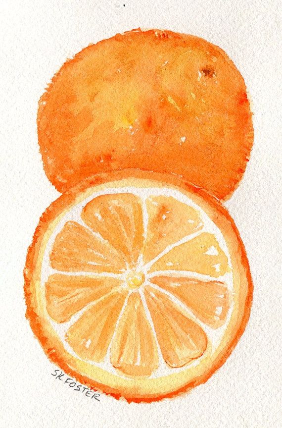 570x864 oranges painting, oranges watercolors paintings, fruit wall art - Orange Fruit Drawing