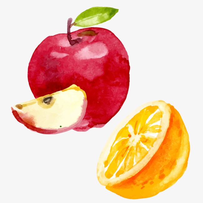 650x650 drawing vector apples and oranges combination, drawing fruit - Orange Fruit Drawing