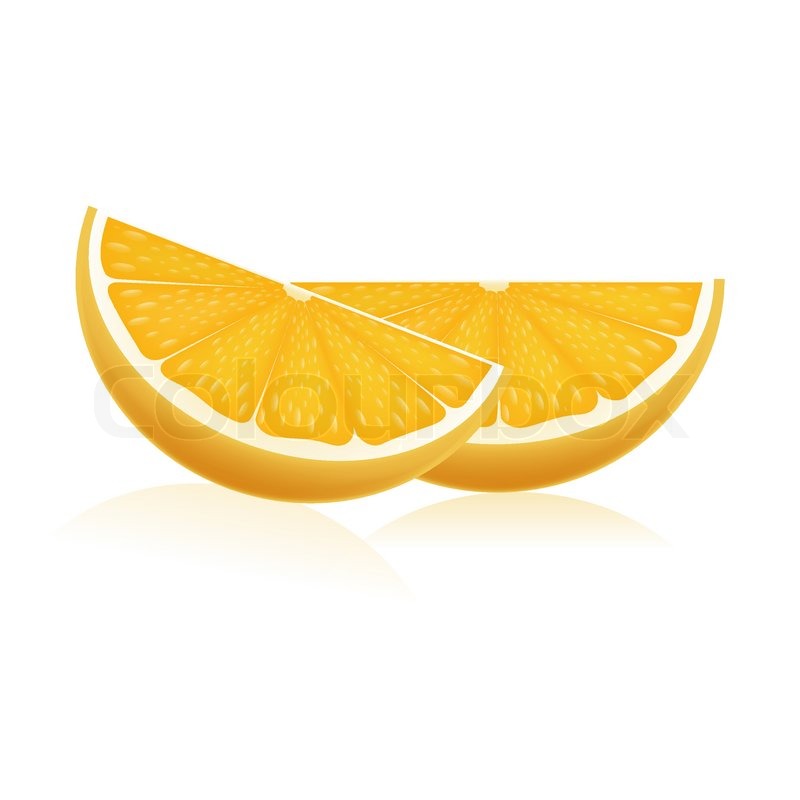 Orange Slice Drawing at Explore collection of